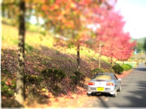 IMG_0026-1-tiltshift