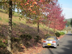 IMG_0026