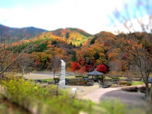 IMG_0102-tiltshift